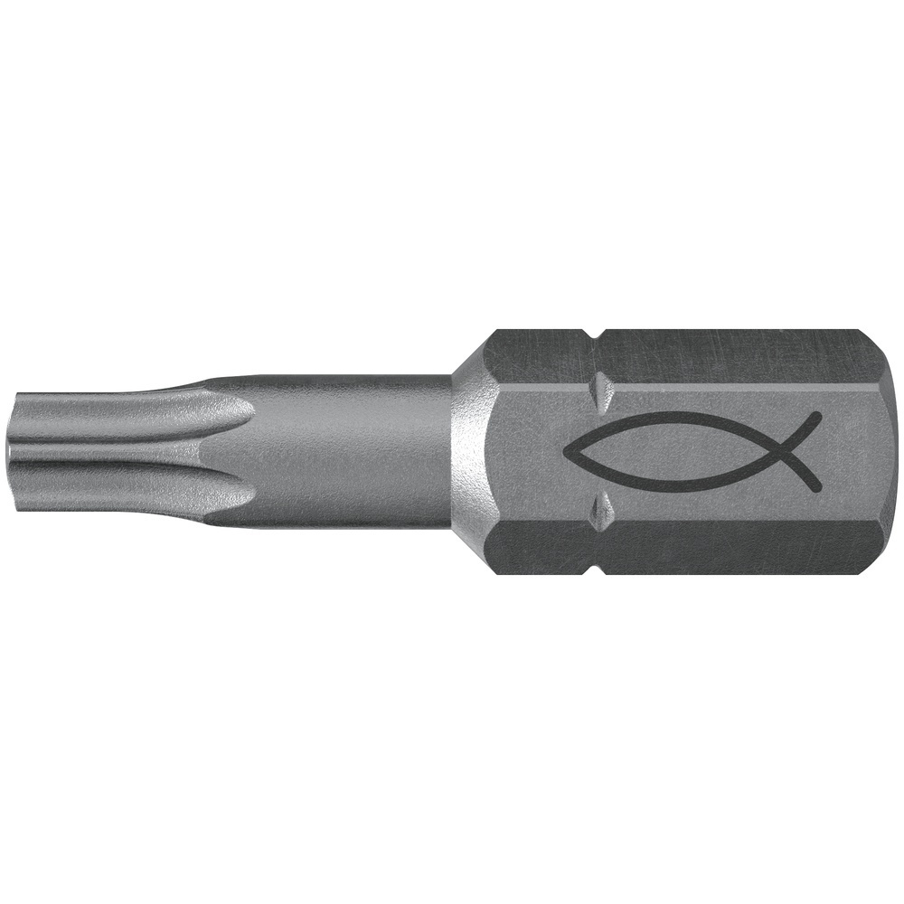 Fischer Bit 557848 Typ FPB T 25 PROFI Bit W 10
