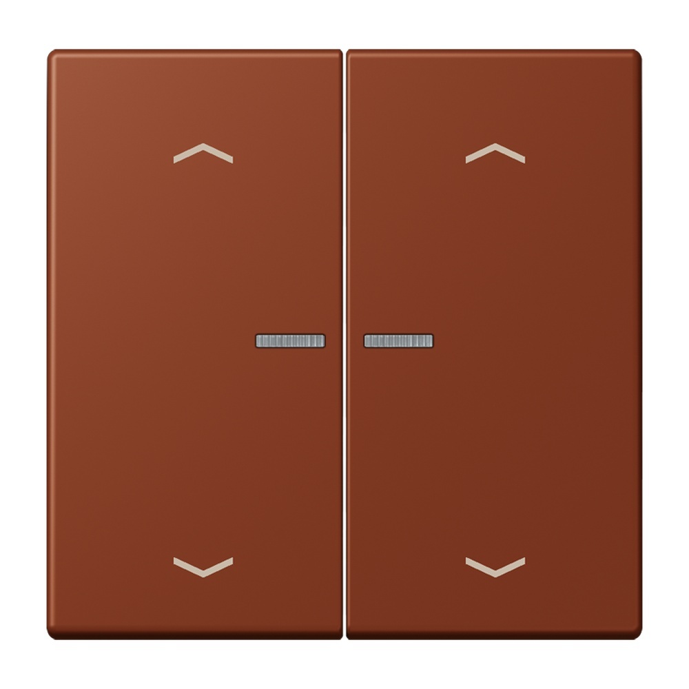 Jung JUNG HOME Taster BTLC17102P247