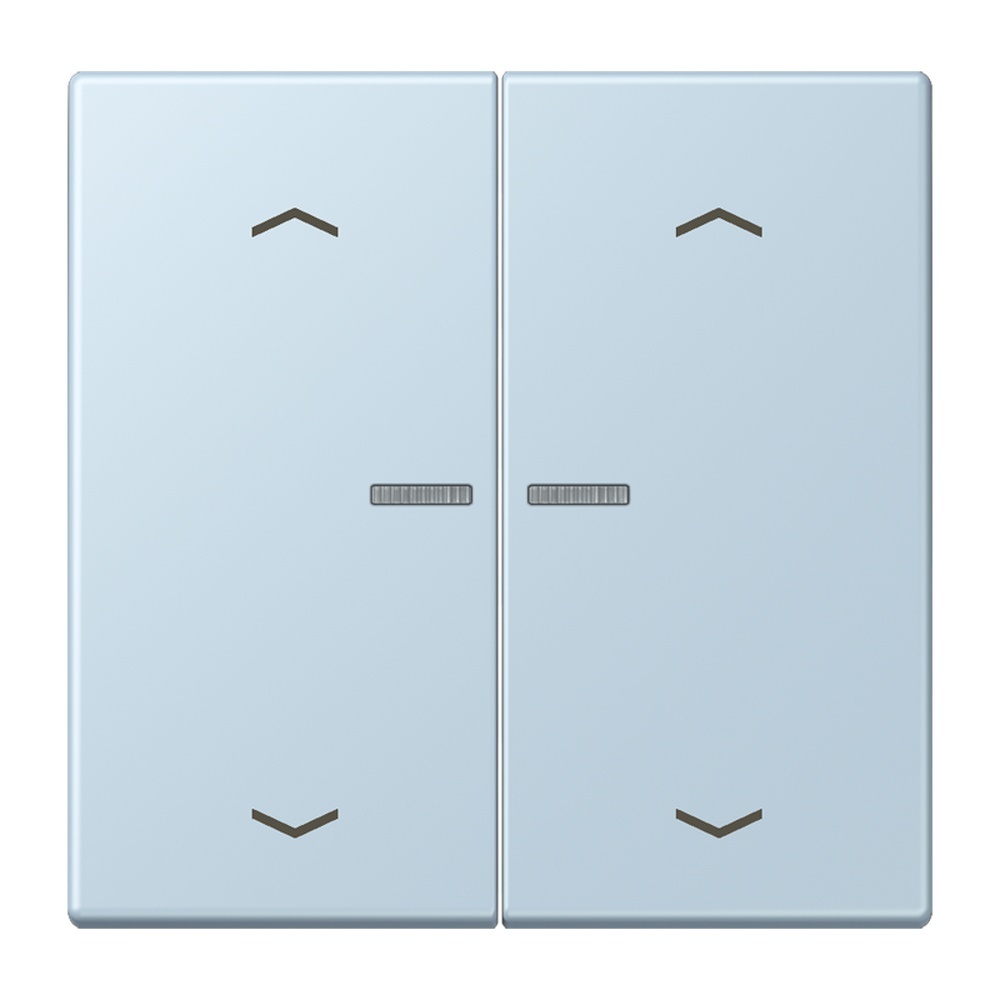 Jung JUNG HOME Taster BTLC17102P208