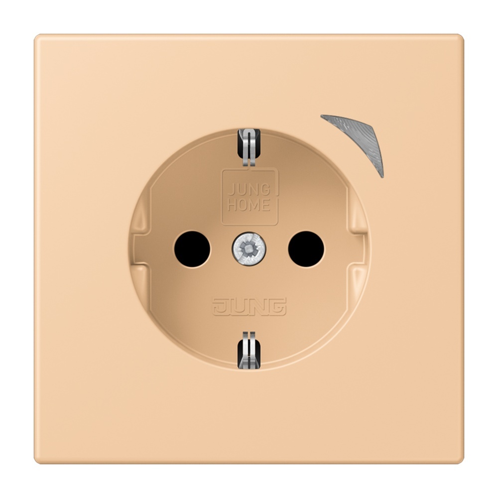 Jung JUNG HOME SCHUKO Steckdose BTLC1521SE237