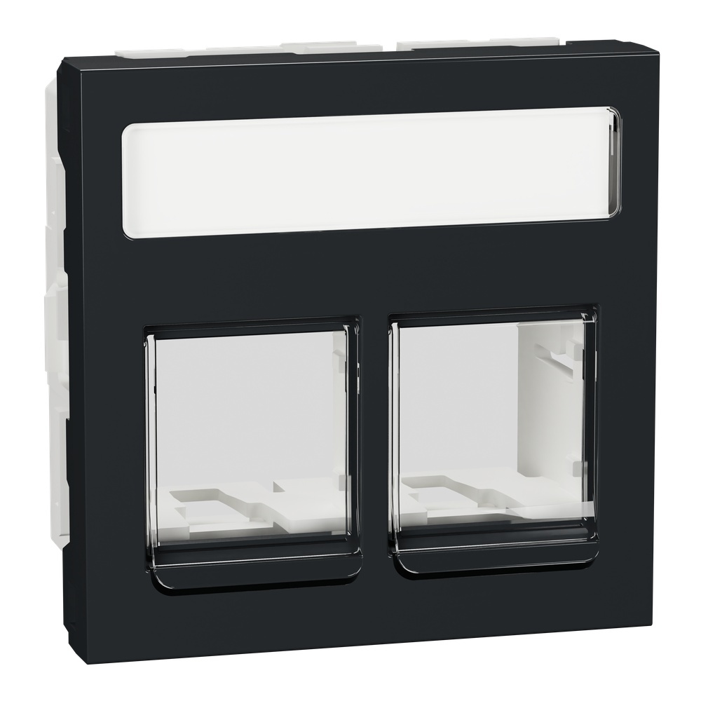 Schneider Electric Zentralplatte NU942254