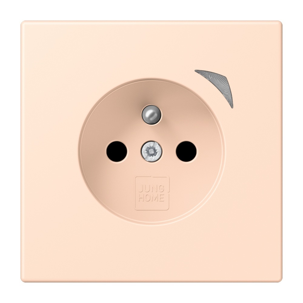 Jung Steckdose BTLC1521FS228