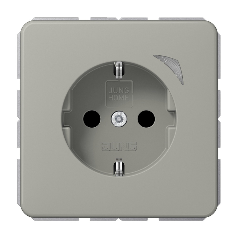 Jung JUNG HOME SCHUKO Steckdose BTCD1521SPT