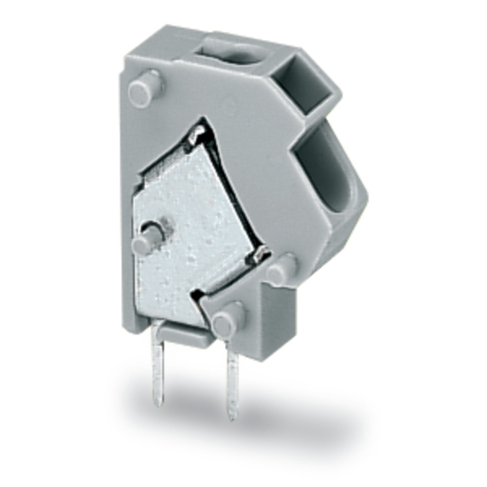 Wago Einzelklemme 254-843