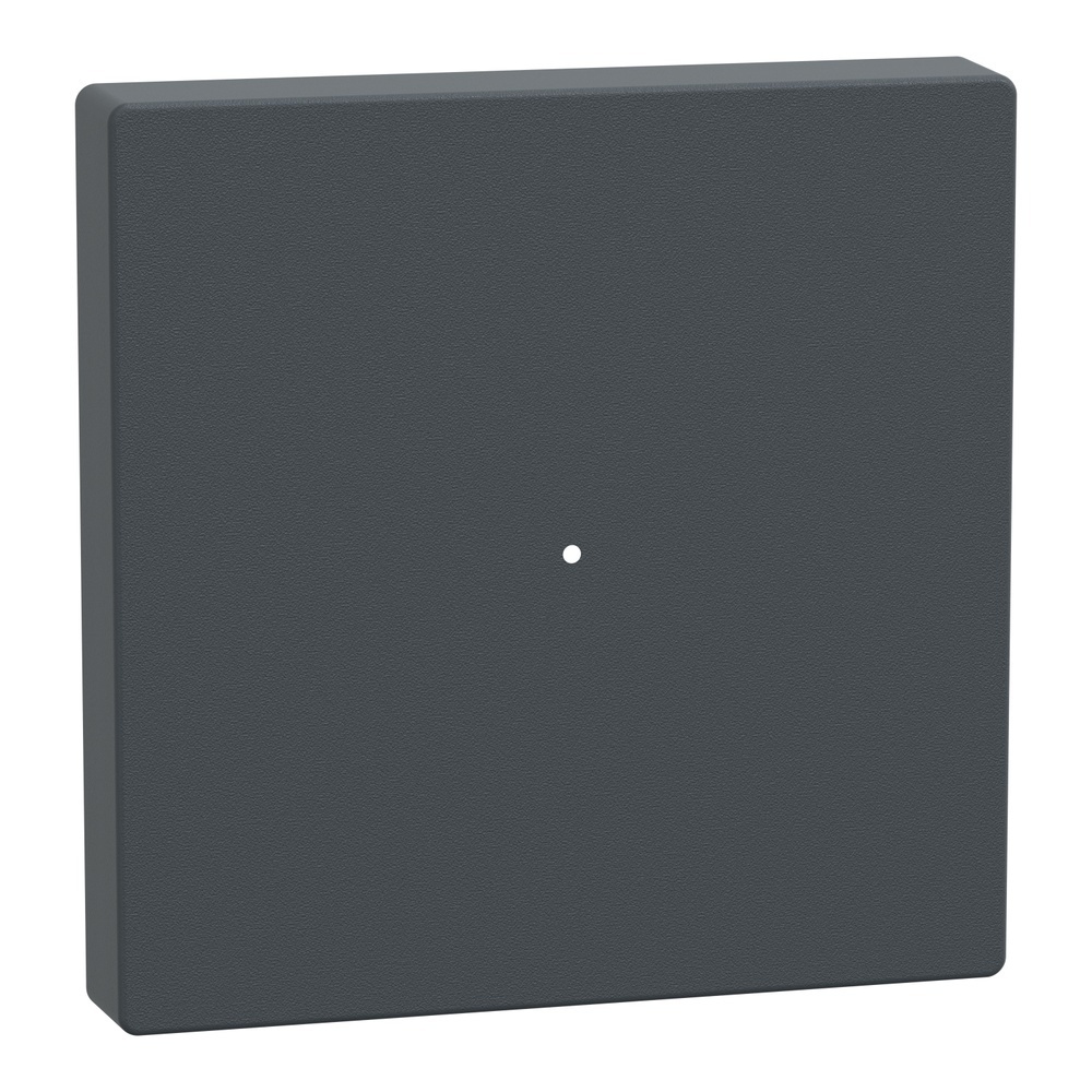 Merten Wippe MEG5210-0414