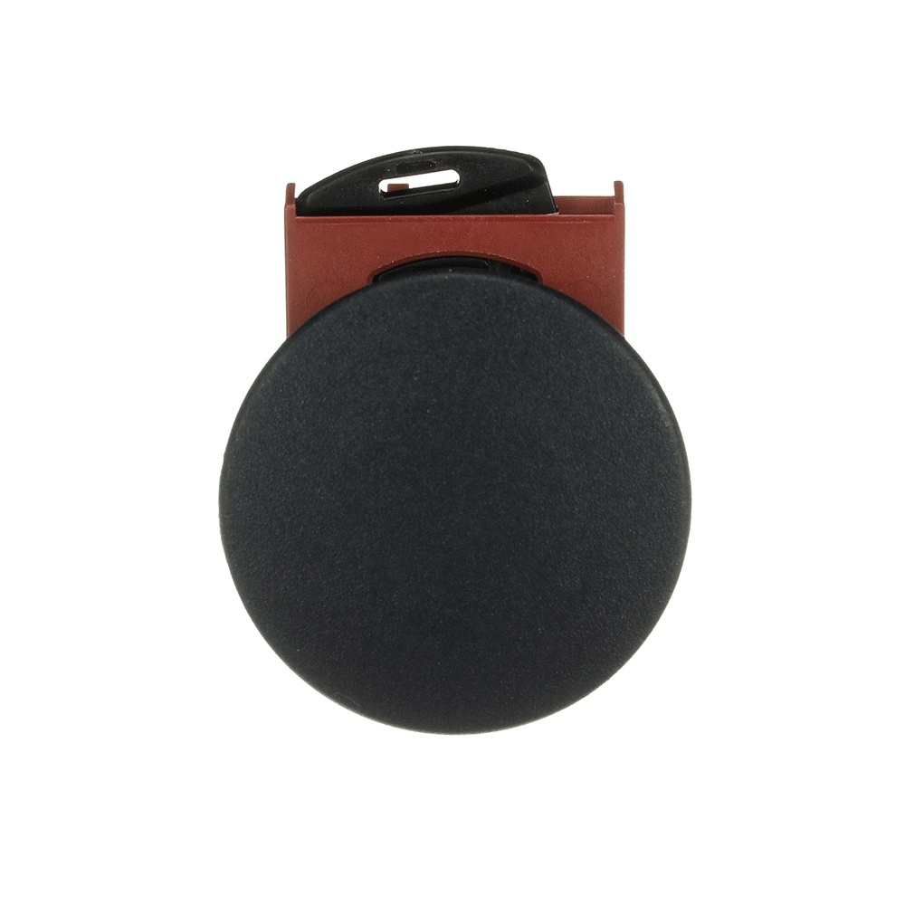 ABB Frontelement für Drucktaster 1SFA184040R9006 Typ P9MEM4NN