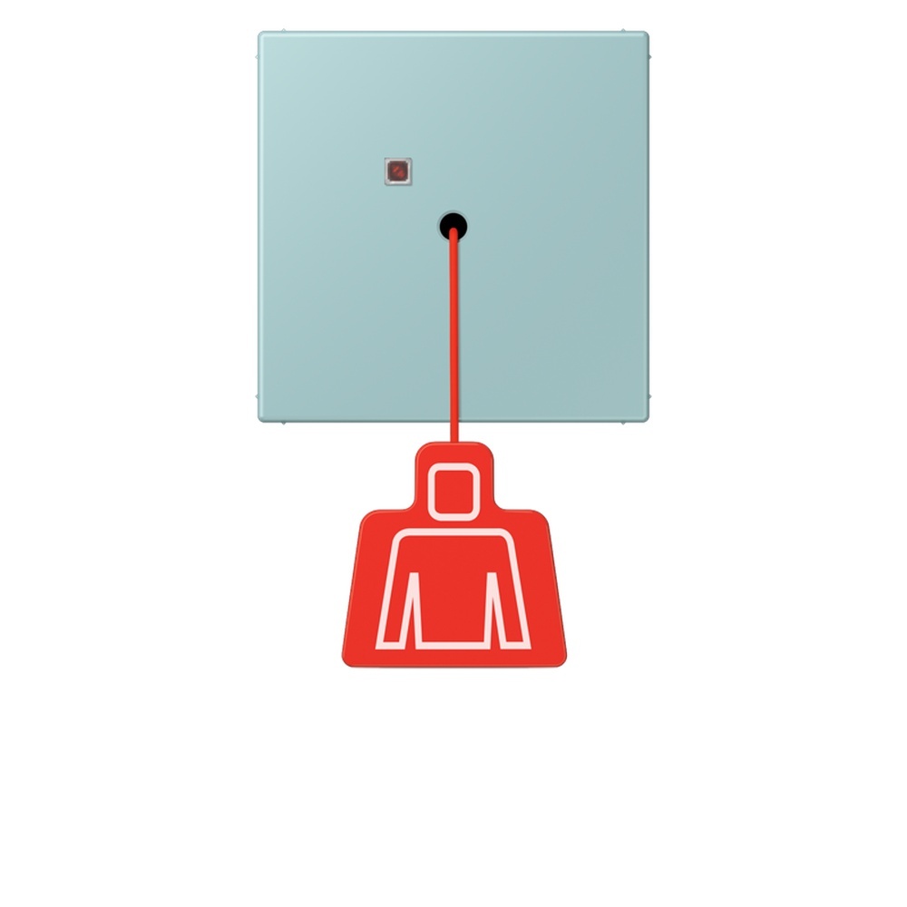 Jung Notrufsystem Zugtaster NRSLC0834ZT214