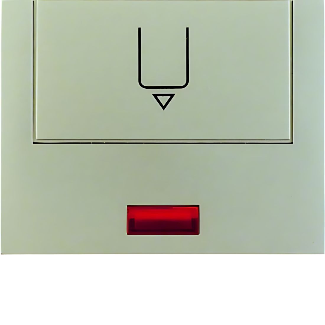 Berker Hotelcard Schaltaufsatz 16417104