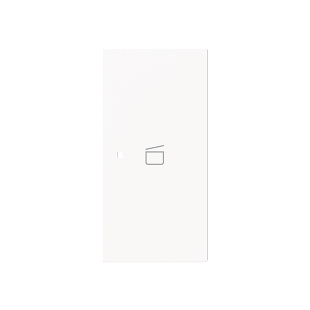 Busch-Jaeger Wippe 6233-22-44G Typ 2CKA006220A0972