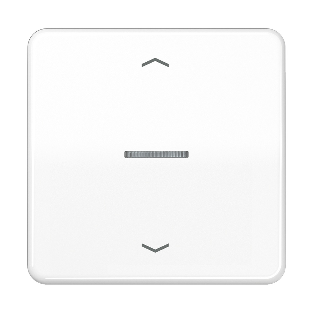 Jung Wippe m. Lichtleiter CD101KO5PWW