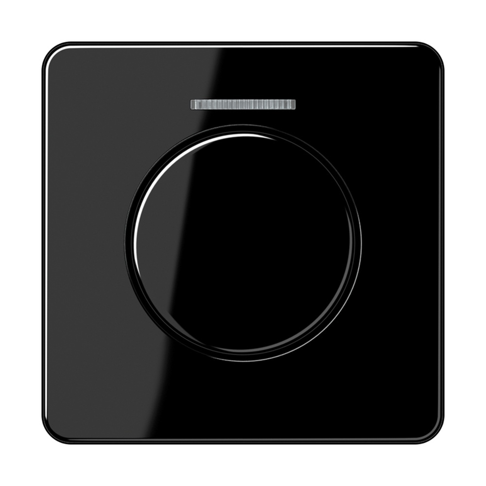 Jung Abdeckung Lichtleiter CD 1540 KO5 SW