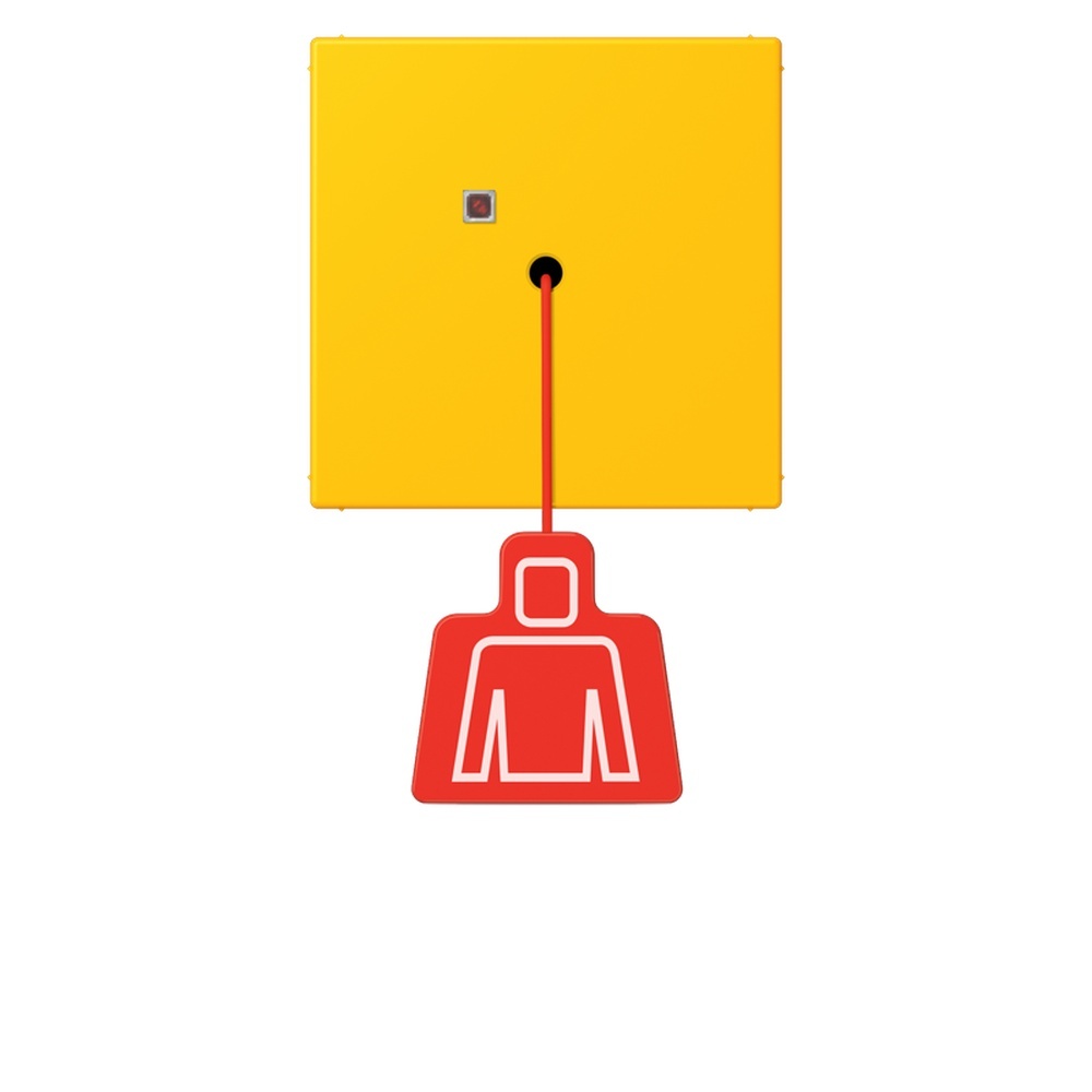 Jung Notrufsystem Zugtaster NRSLC0834ZT263