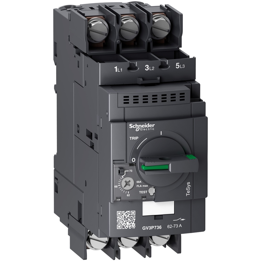 Schneider Electric Motorschutzschalter GV3P736