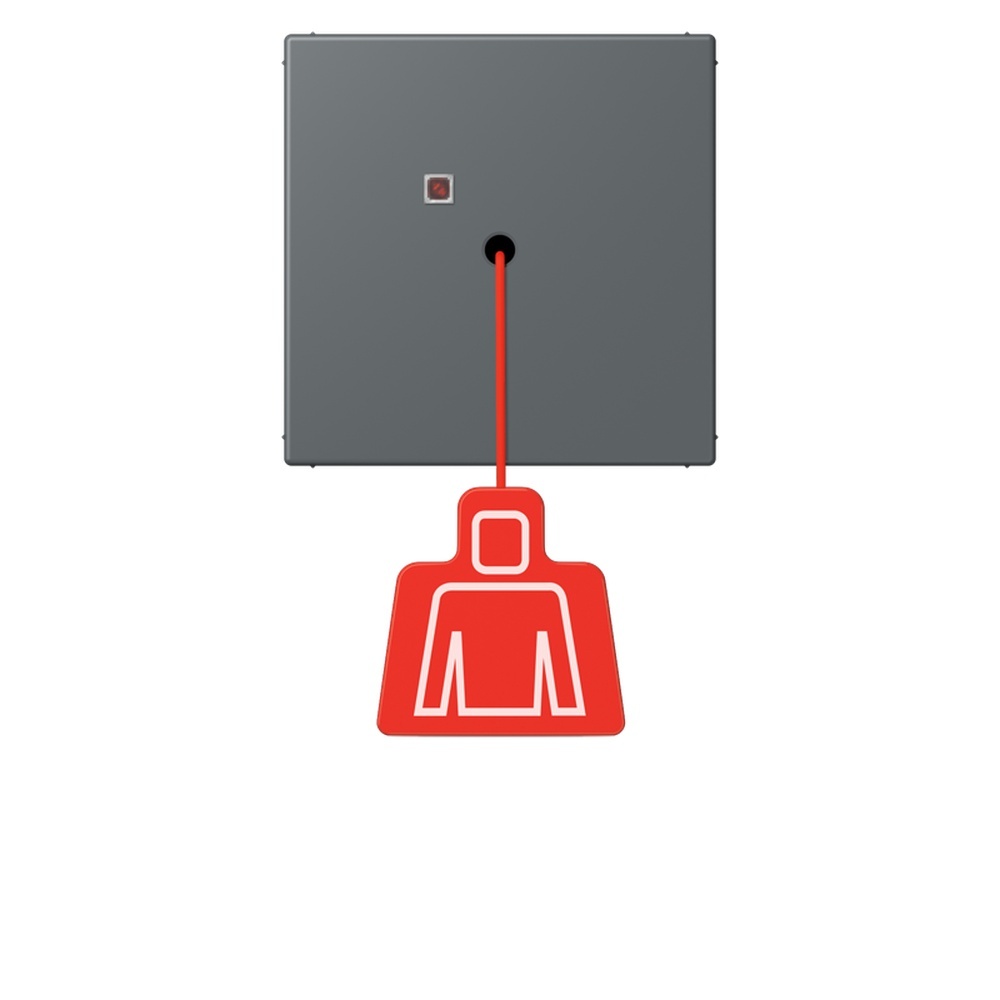 Jung Notrufsystem Zugtaster NRSLC0834ZT202
