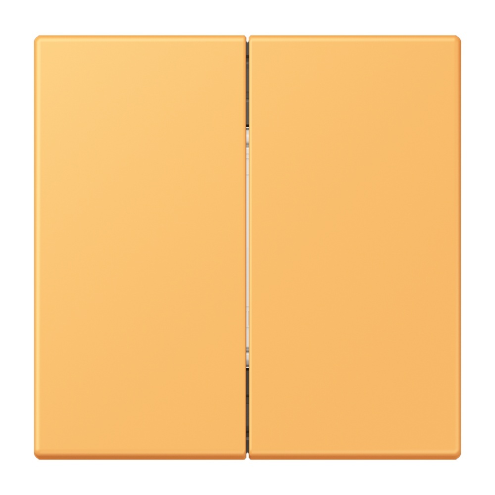 Jung Bluetooth Low Energy Funk Wandsender BLELC995254