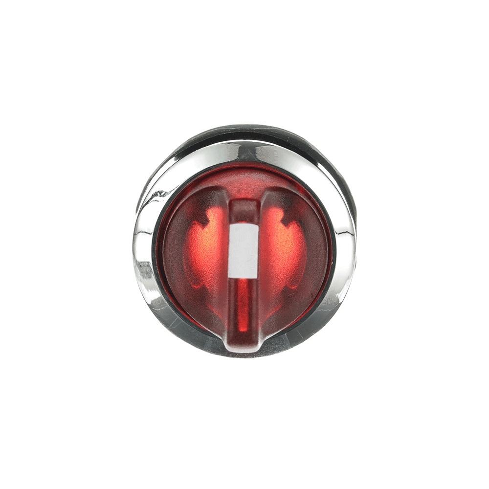 ABB Frontelement für Wahlschalter 1SFA611211R3101 Typ M3SS2-31R