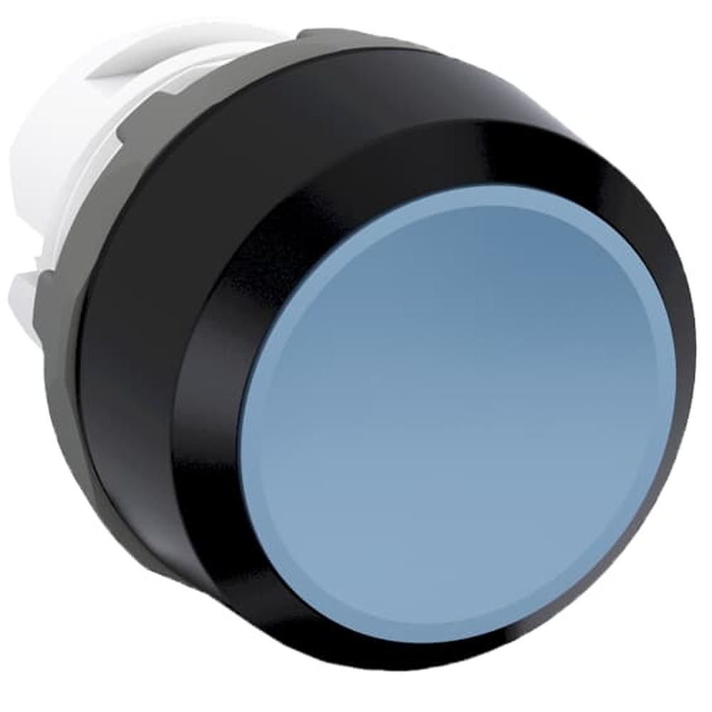 ABB Frontelement für Drucktaster 1SFA611101R1004 Typ MP2-10L