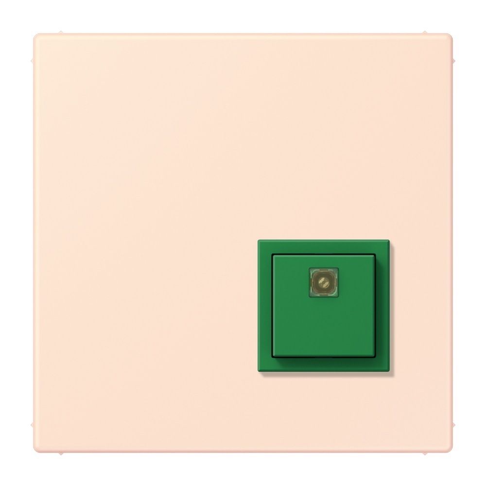 Jung Notrufsystem Abstelltaster NRSLC0834AT226