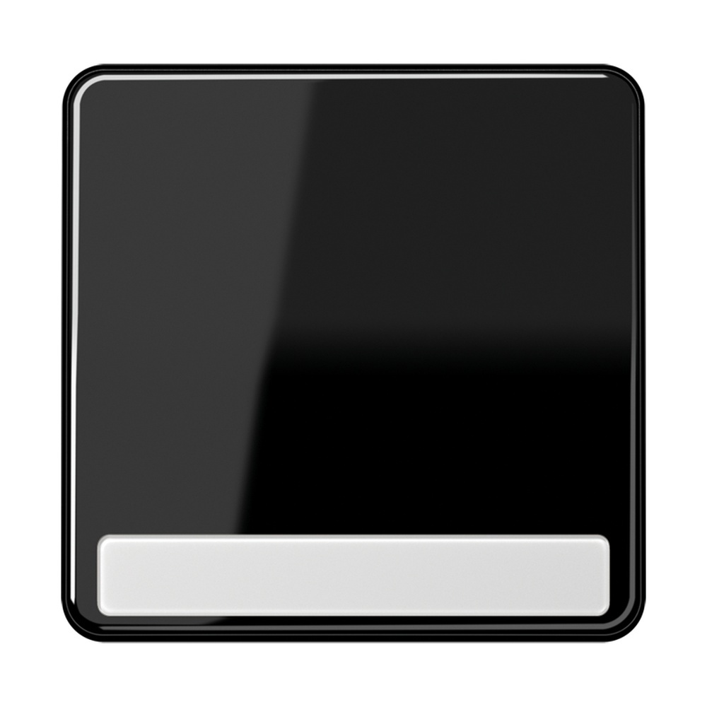 Jung Wippe CD 590 NA SW