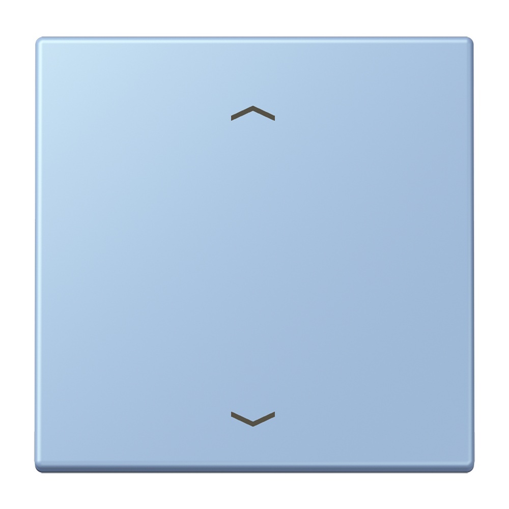 Jung Management Taster 1fach LC1700P207