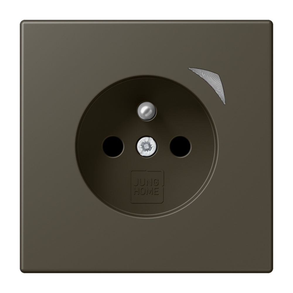 Jung Steckdose BTLC1521FS241
