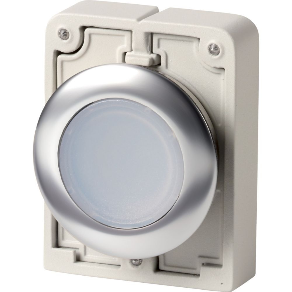 Eaton Leuchtdrucktasten 197011 Typ M30I-FDL-W-SP