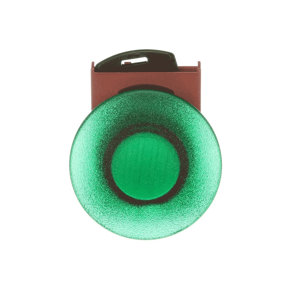 ABB Frontelement für Drucktaster 1SFA184552R9102 Typ P9MEM4VL