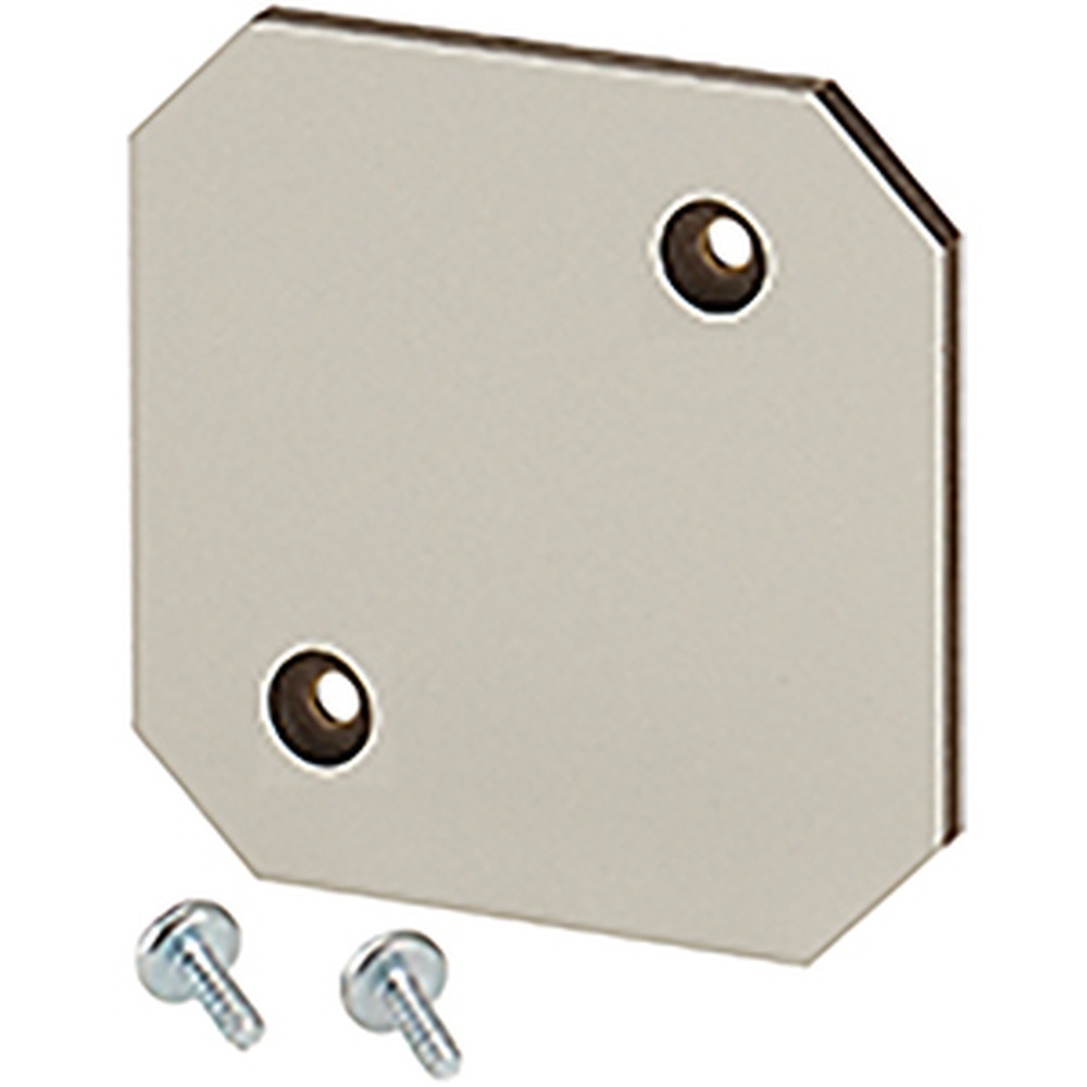 Hensel Montageplatte EB MP 02 Nr. 62000255
