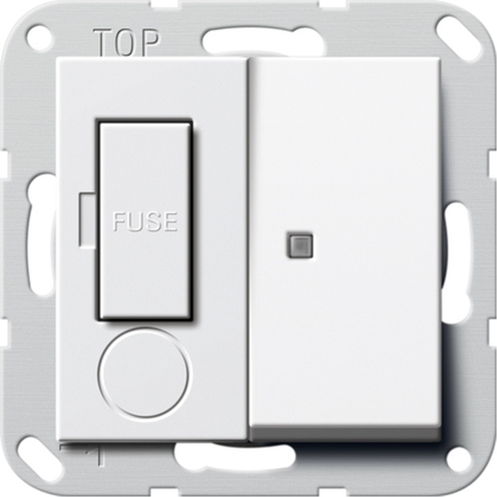 Gira Fused outlet Kontroll 278703