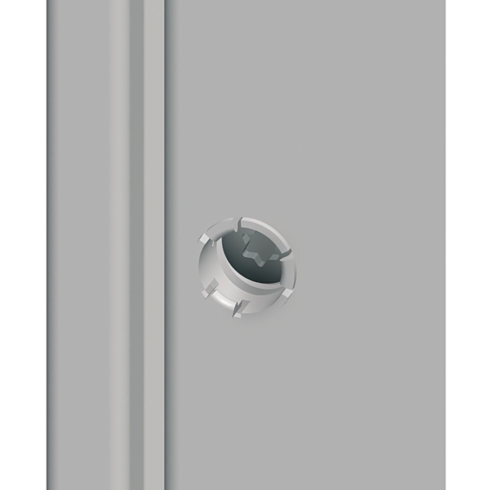 Schneider Electric Schraube NSYCSSF
