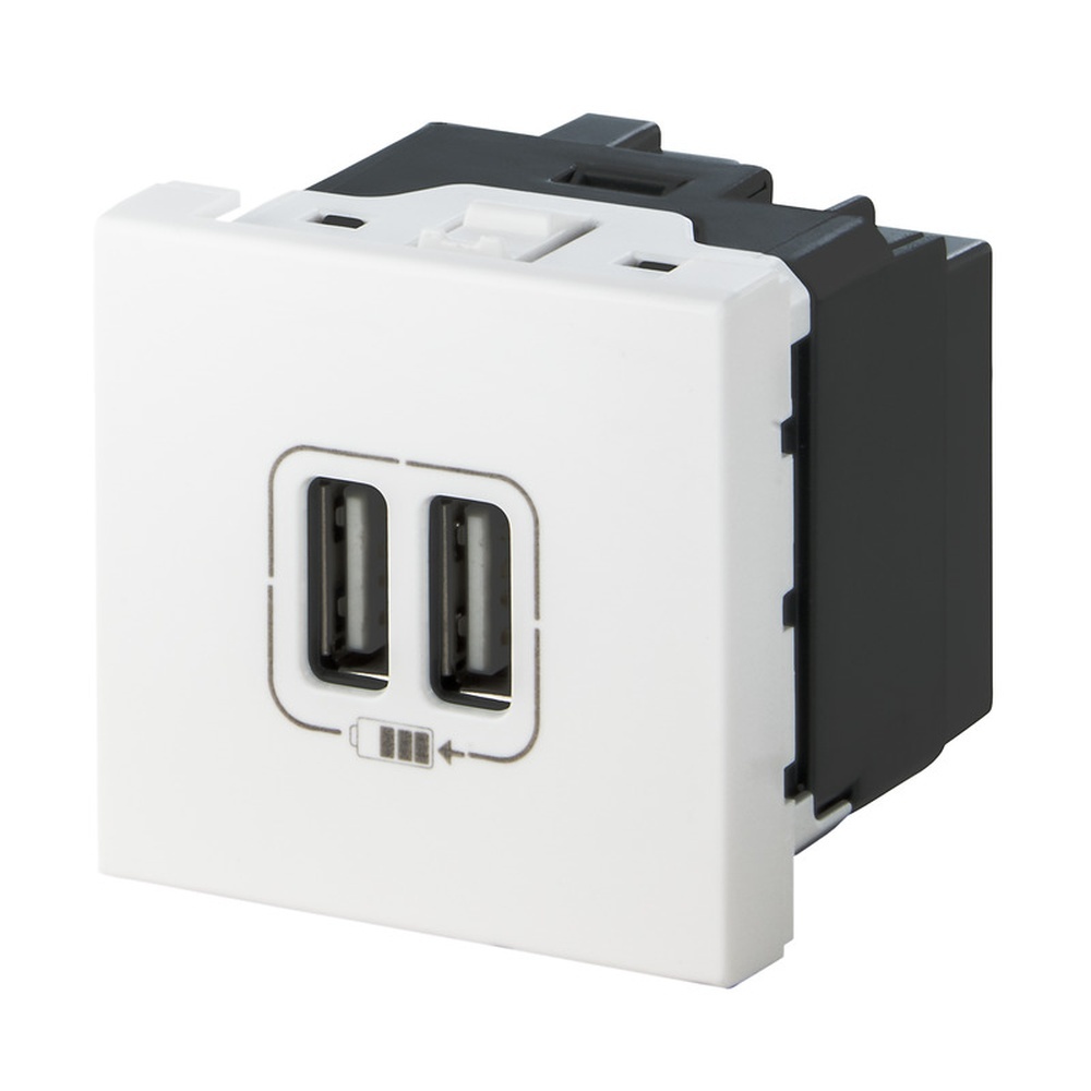 Weidmüller Einsatz 2505070000 Typ IE-FCI-PWB-2USB-A-5V
