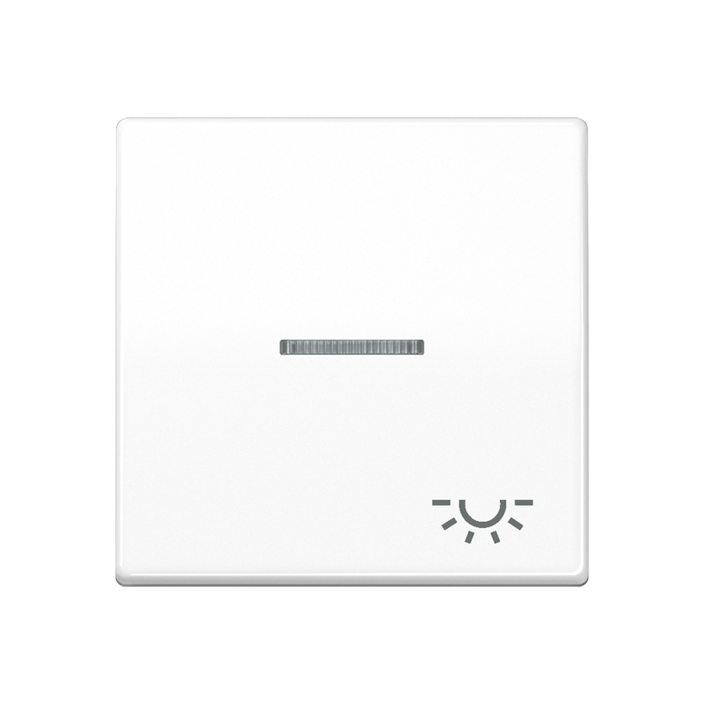 Jung Wippe 1fach SPAS591KO5LWW