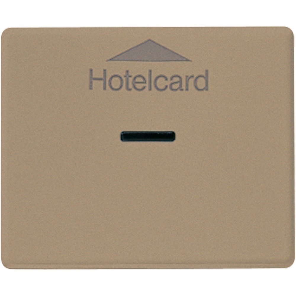 Jung Hotelcard Schalter SL590CARDGB