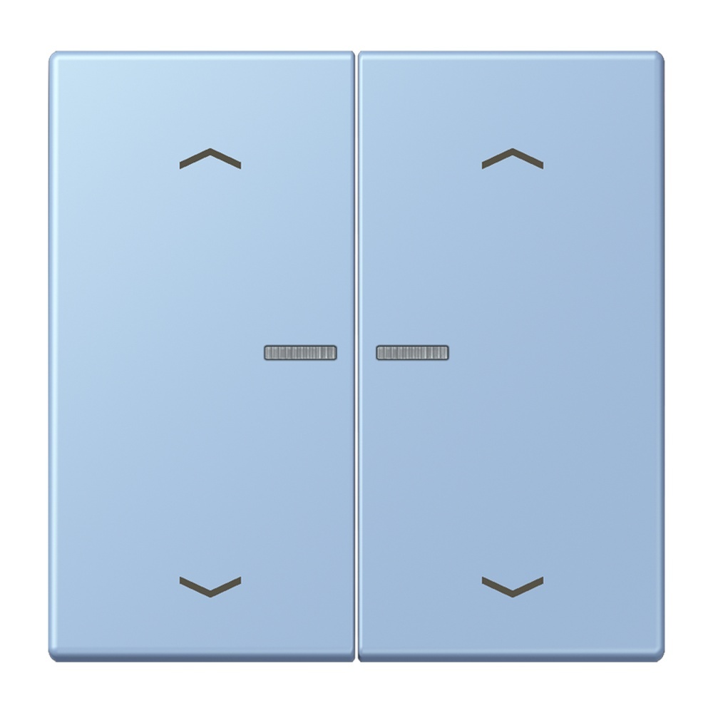 Jung JUNG HOME Taster BTLC17102P207