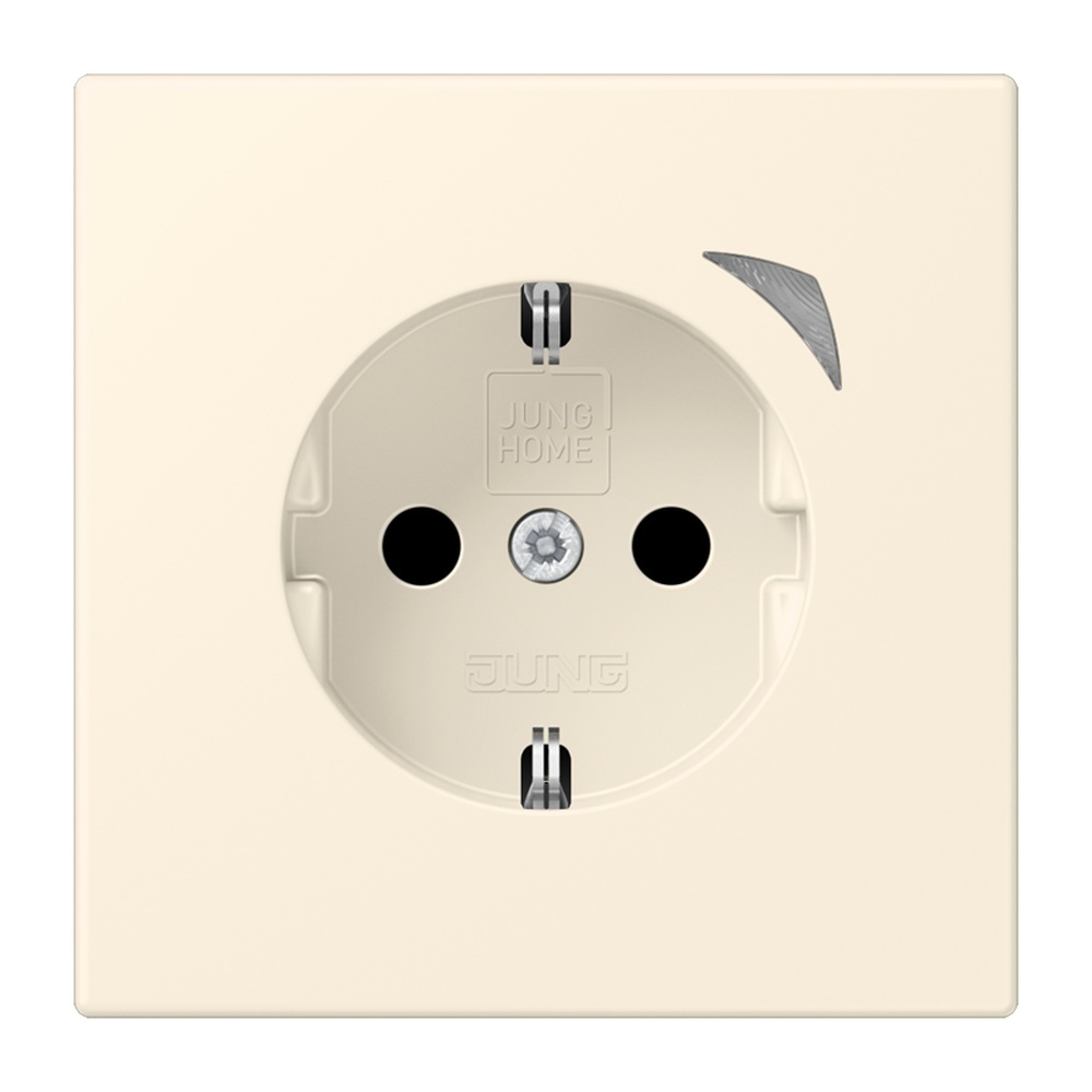 Jung JUNG HOME SCHUKO Steckdose BTLC1521SE245