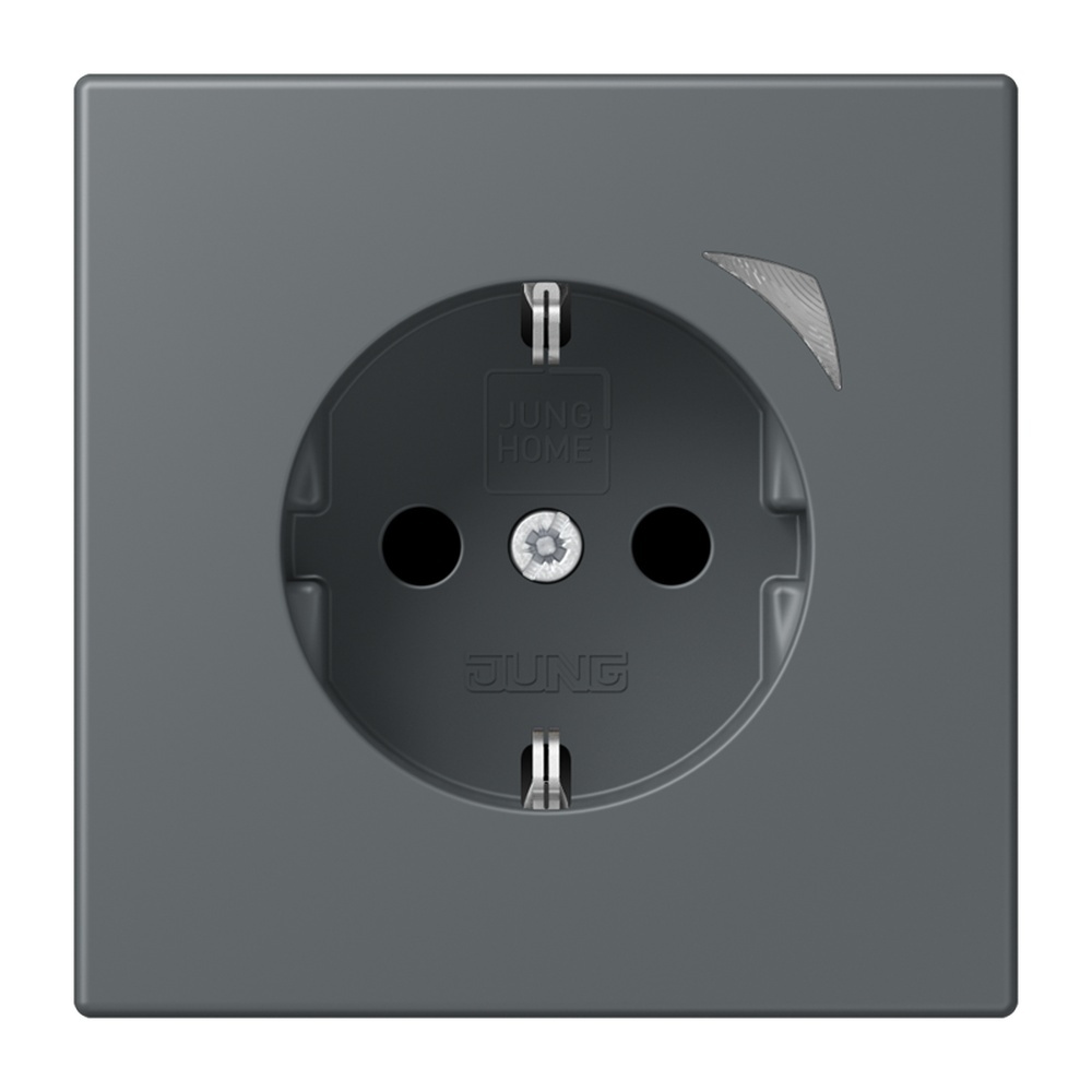 Jung JUNG HOME SCHUKO Steckdose BTLC1521SE202