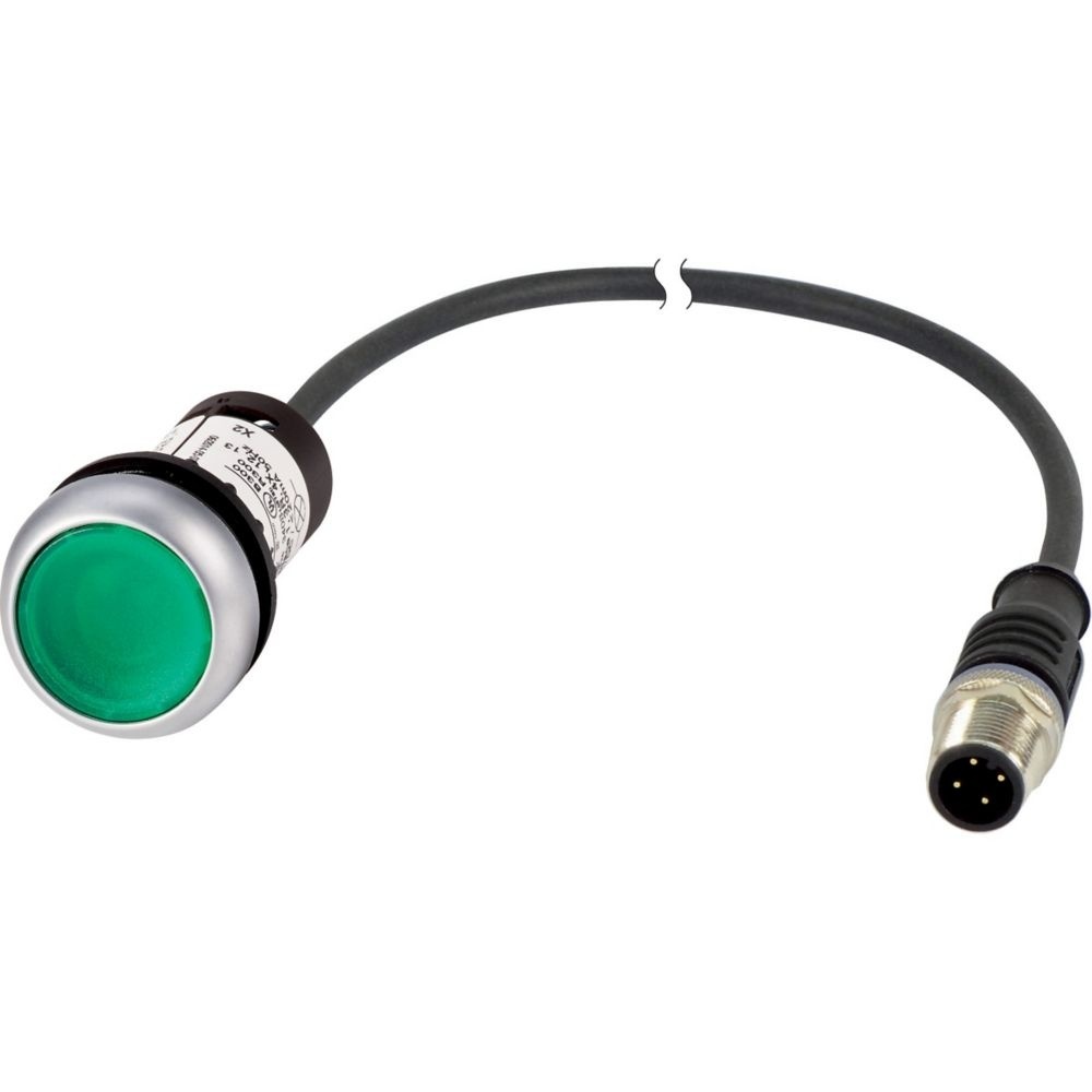 Eaton Leuchtdrucktaster 181625 Typ C22-DL-G-K10-24-P3