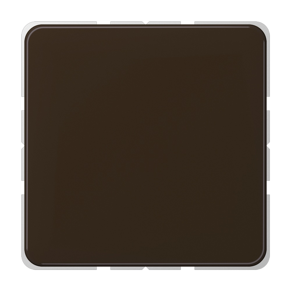 Jung Blindabdeckung CD 594-0 BR