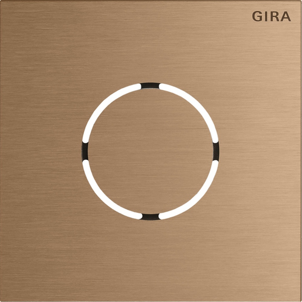 Gira Frontplatte 5578921