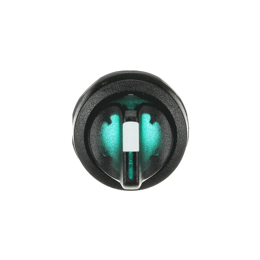 ABB Frontelement für Wahlschalter 1SFA611200R1102 Typ M2SS1-11G