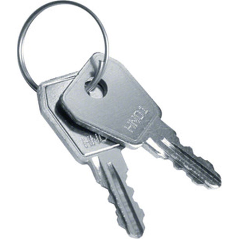 Hager Volta Ersatzschlüssel VZ304N09