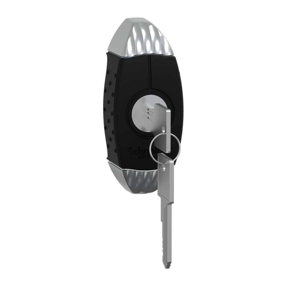 Schneider Electric Knebelgriff NSYAEDL455S3D