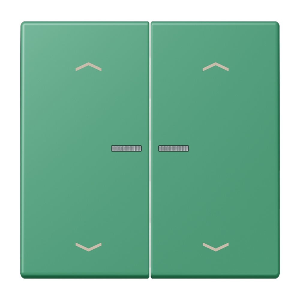 Jung JUNG HOME Taster BTLC17102P250