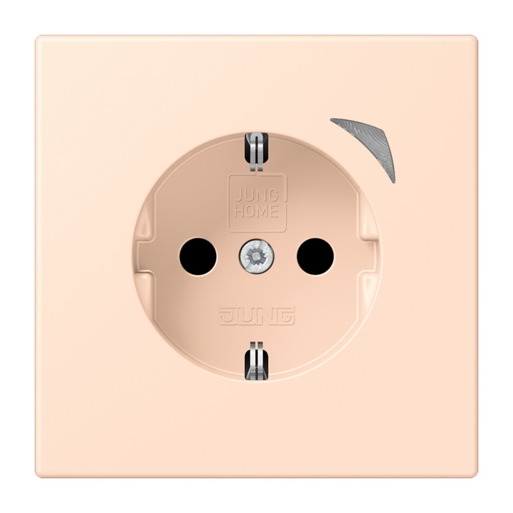 Jung JUNG HOME SCHUKO Steckdose BTLC1521S228