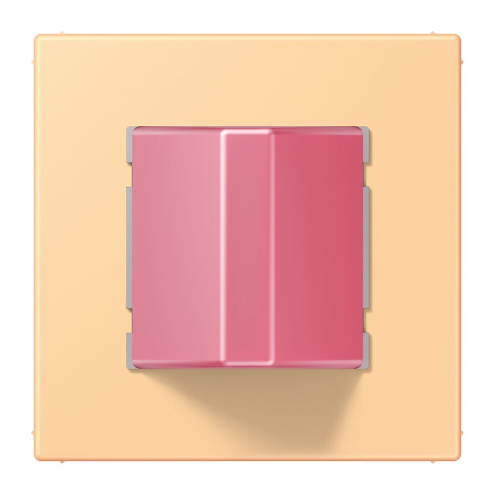 Jung Notrufsystem Rufmodul NRSLC0834RM258