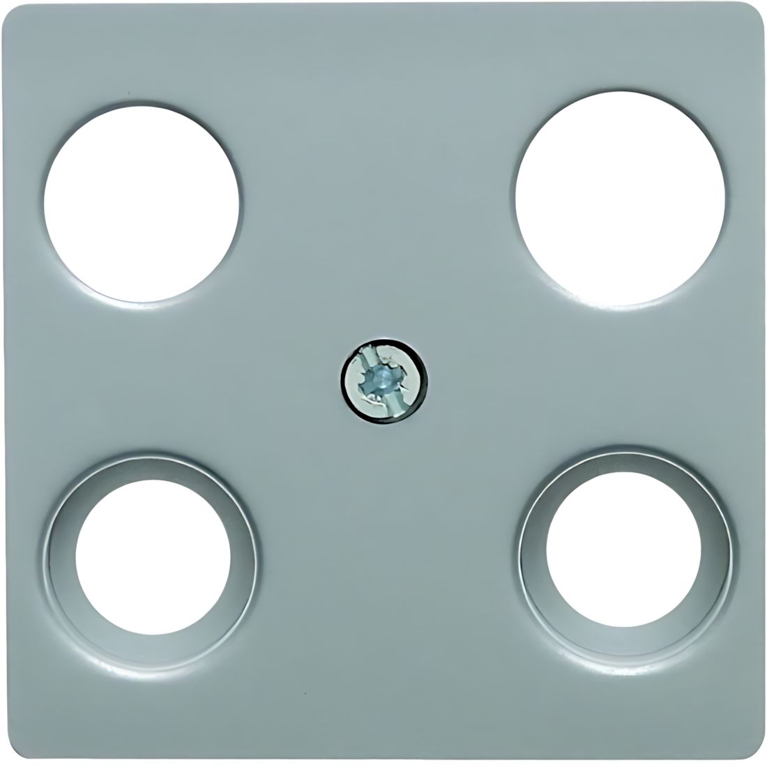 Berker Zentralplatte 14831404 Berker Zentralplatte 14831404