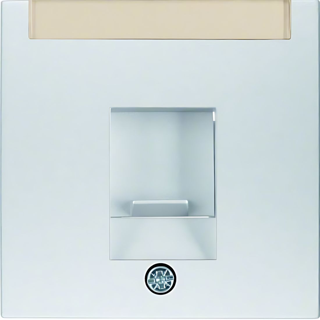Berker Zentralstück 11701404 Berker Zentralstück 11701404