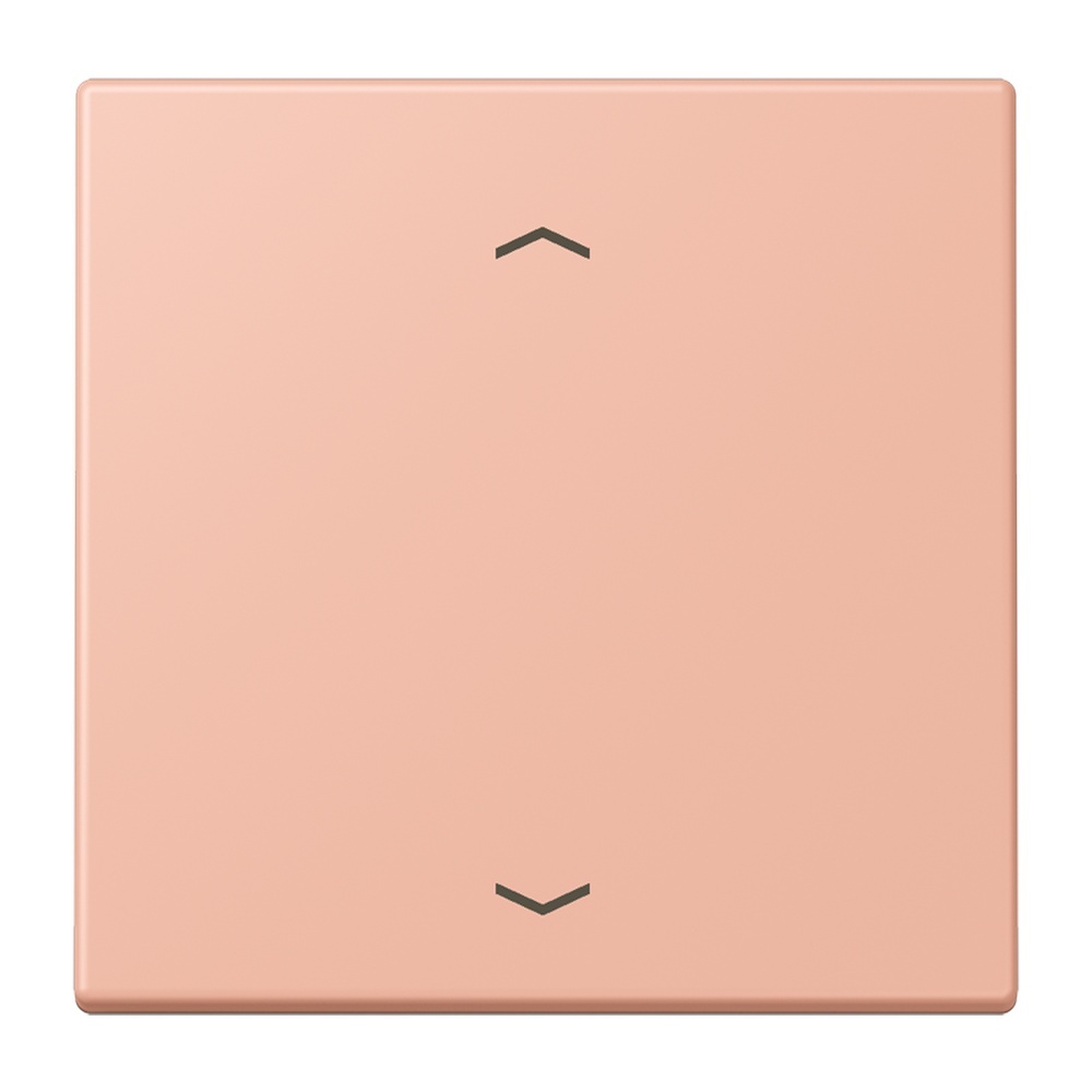 Jung Management Taster 1fach LC1700P231