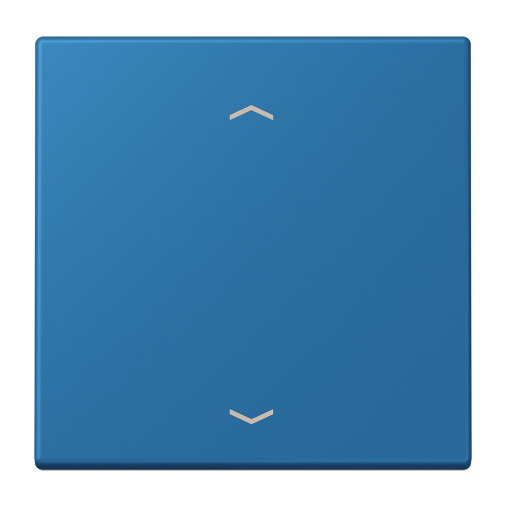 Jung Management Taster 1fach LC1700P211