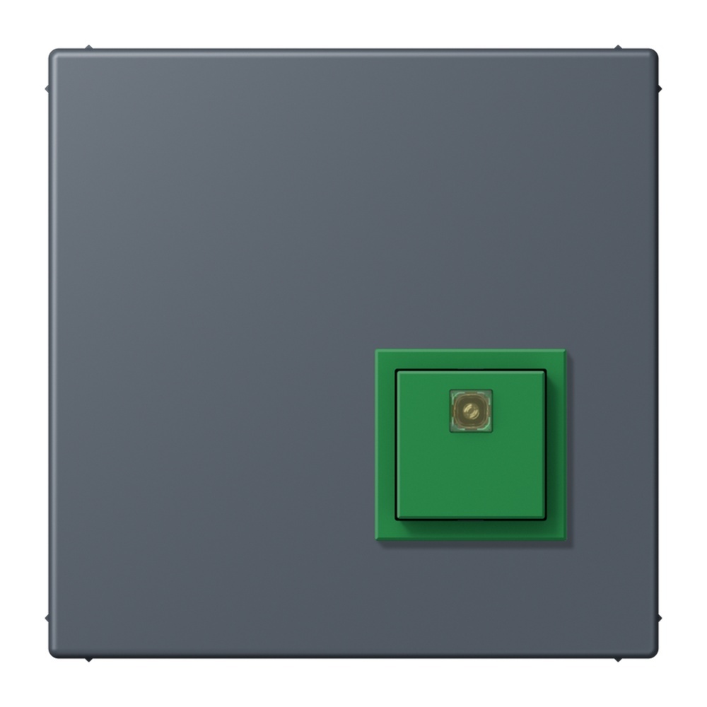 Jung Notrufsystem Abstelltaster NRSLC0834AT262